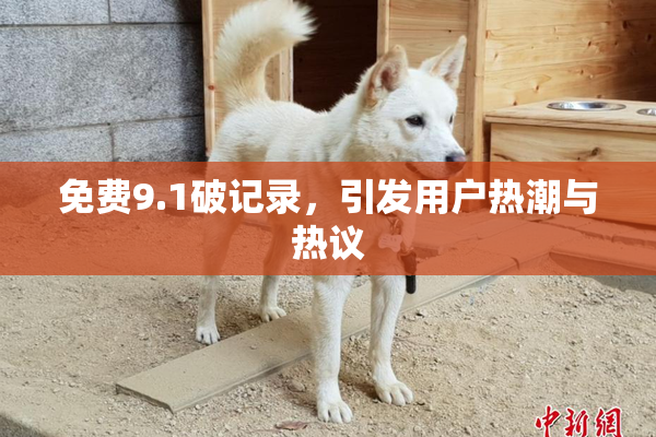 免费9.1破记录，引发用户热潮与热议
