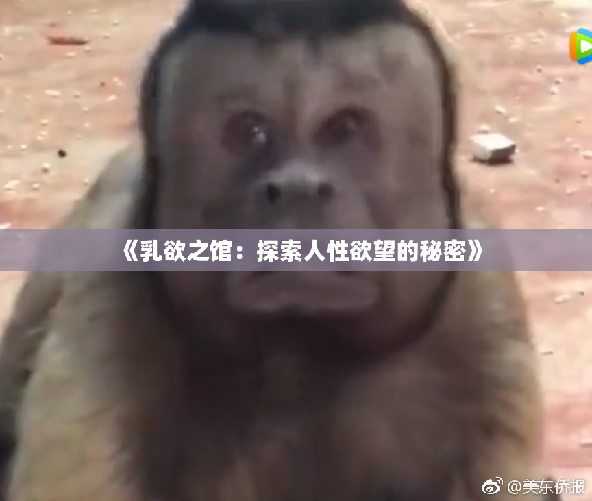 《乳欲之馆：探索人性欲望的秘密》