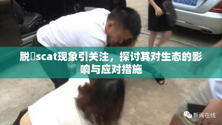 脱糞scat现象引关注，探讨其对生态的影响与应对措施