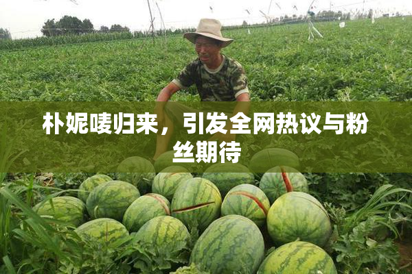 朴妮唛归来，引发全网热议与粉丝期待