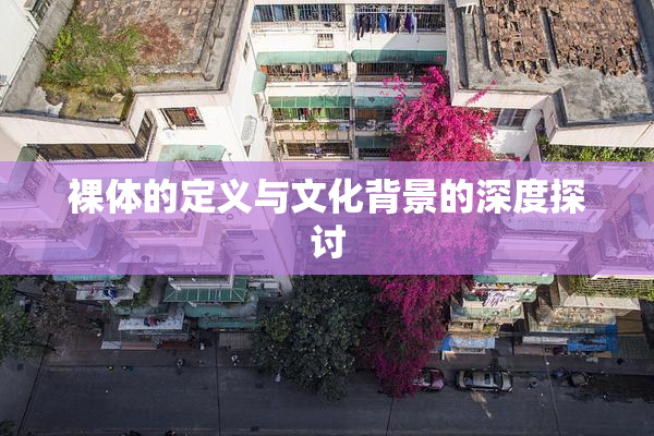 裸体的定义与文化背景的深度探讨