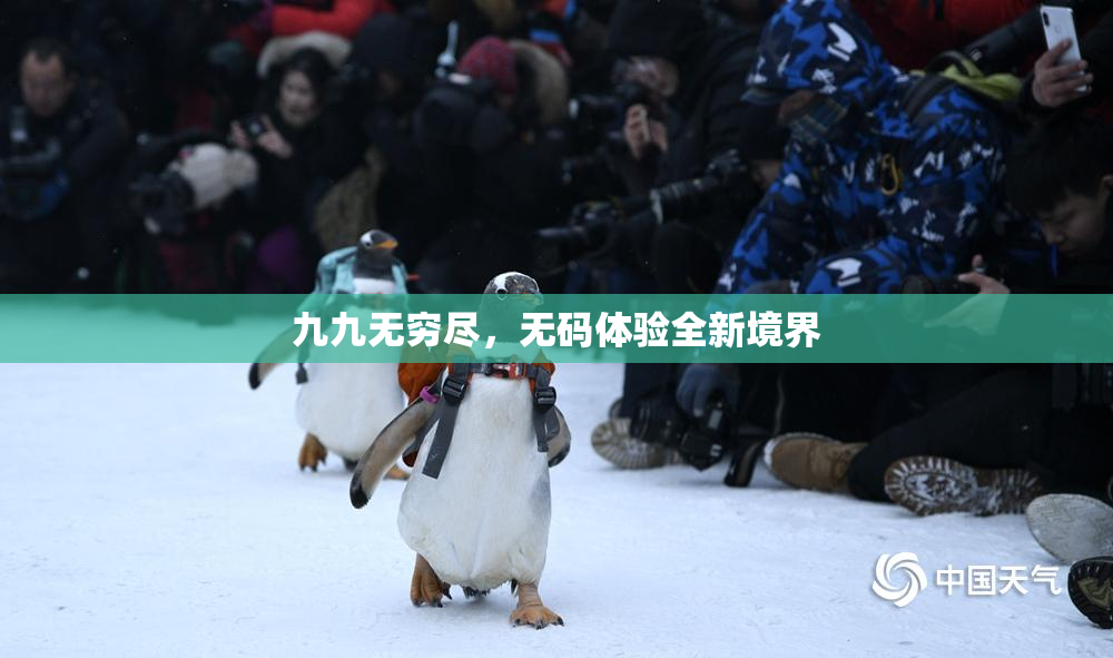 九九无穷尽，无码体验全新境界