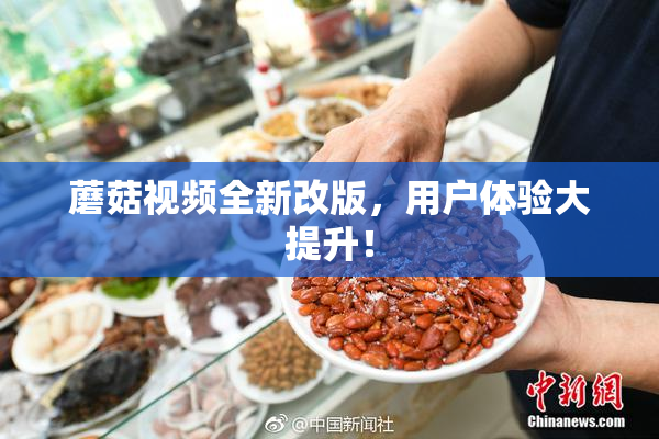 蘑菇视频全新改版，用户体验大提升！
