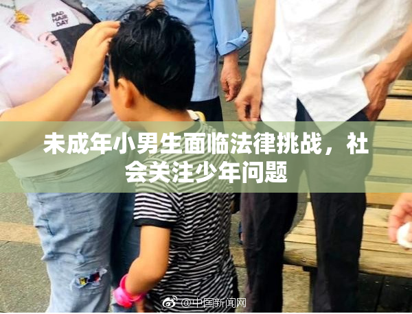 未成年小男生面临法律挑战，社会关注少年问题