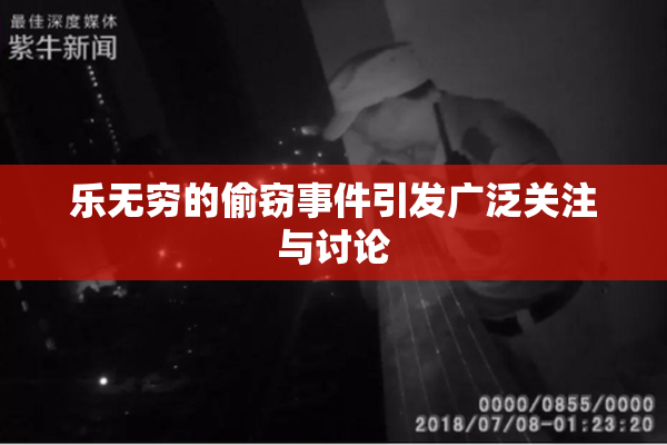 乐无穷的偷窃事件引发广泛关注与讨论