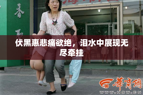 伏黑惠悲痛欲绝，泪水中展现无尽牵挂