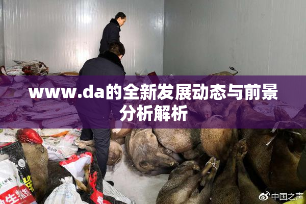 www.da的全新发展动态与前景分析解析