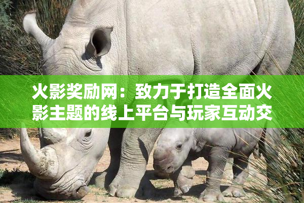 火影奖励网：致力于打造全面火影主题的线上平台与玩家互动交流