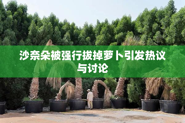 沙奈朵被强行拔掉萝卜引发热议与讨论