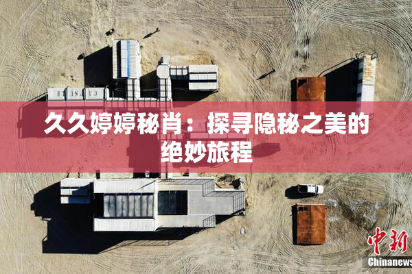 久久婷婷秘肖：探寻隐秘之美的绝妙旅程