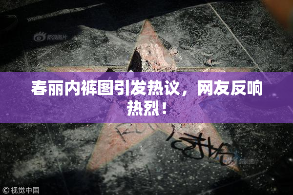 春丽内裤图引发热议，网友反响热烈！