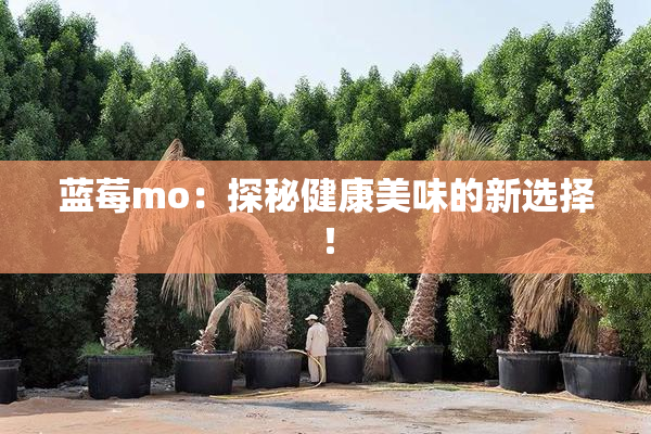 蓝莓mo：探秘健康美味的新选择！