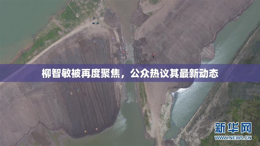 柳智敏被再度聚焦，公众热议其最新动态