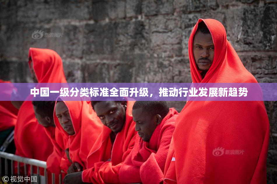 中国一级分类标准全面升级，推动行业发展新趋势