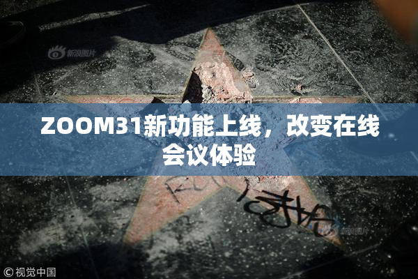 ZOOM31新功能上线，改变在线会议体验