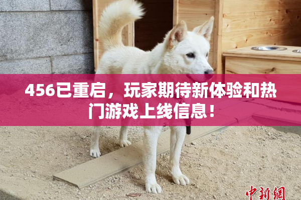 456已重启，玩家期待新体验和热门游戏上线信息！