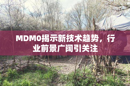 MDM0揭示新技术趋势，行业前景广阔引关注