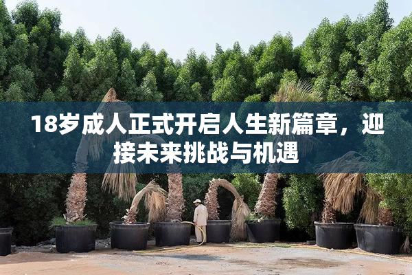 18岁成人正式开启人生新篇章，迎接未来挑战与机遇