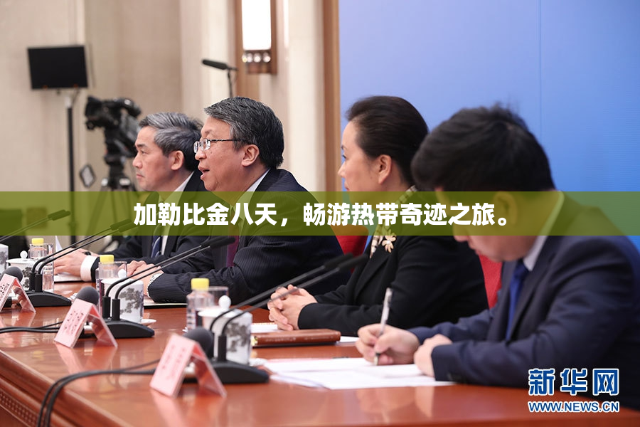 加勒比金八天，畅游热带奇迹之旅。