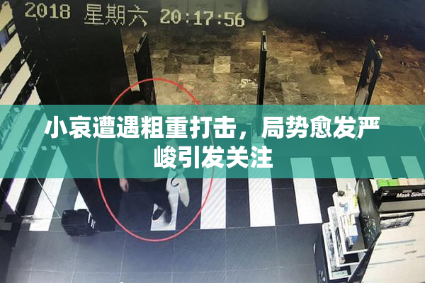 小哀遭遇粗重打击，局势愈发严峻引发关注