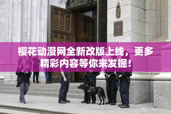 樱花动漫网全新改版上线，更多精彩内容等你来发掘！