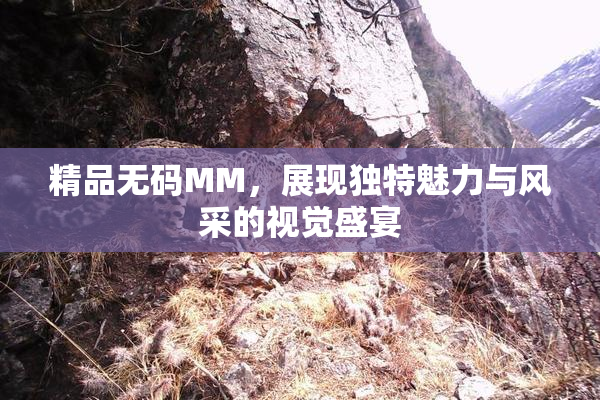 精品无码MM，展现独特魅力与风采的视觉盛宴
