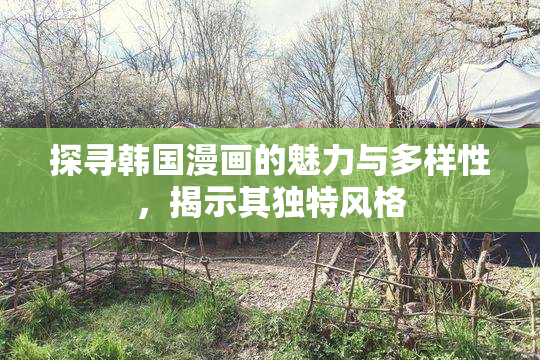探寻韩国漫画的魅力与多样性，揭示其独特风格