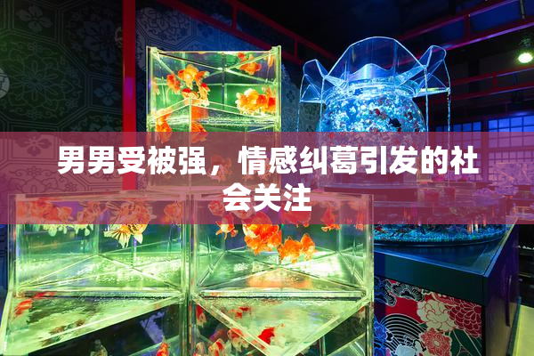 男男受被强，情感纠葛引发的社会关注