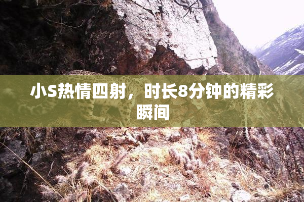 小S热情四射，时长8分钟的精彩瞬间
