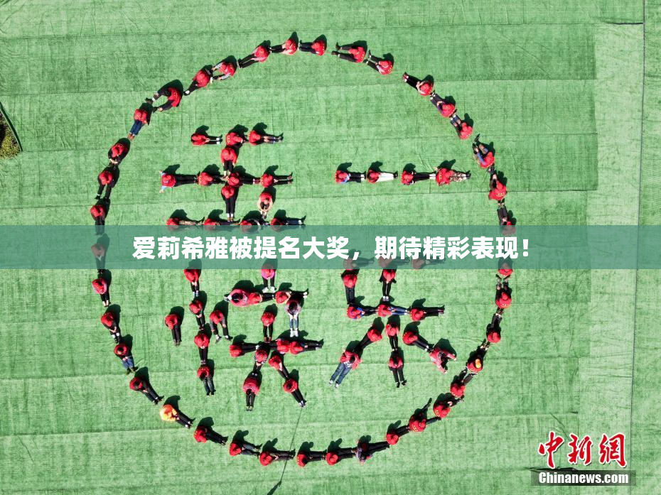 爱莉希雅被提名大奖，期待精彩表现！