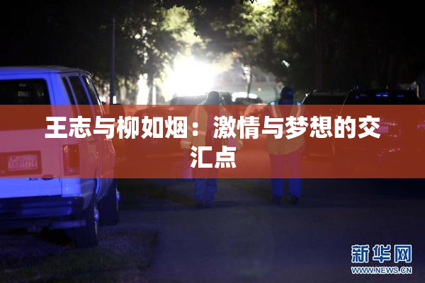 王志与柳如烟：激情与梦想的交汇点