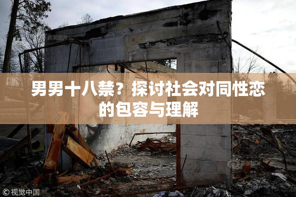 男男十八禁？探讨社会对同性恋的包容与理解