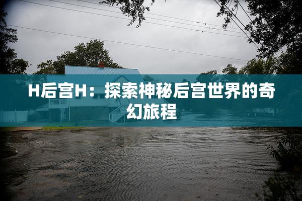 H后宫H：探索神秘后宫世界的奇幻旅程