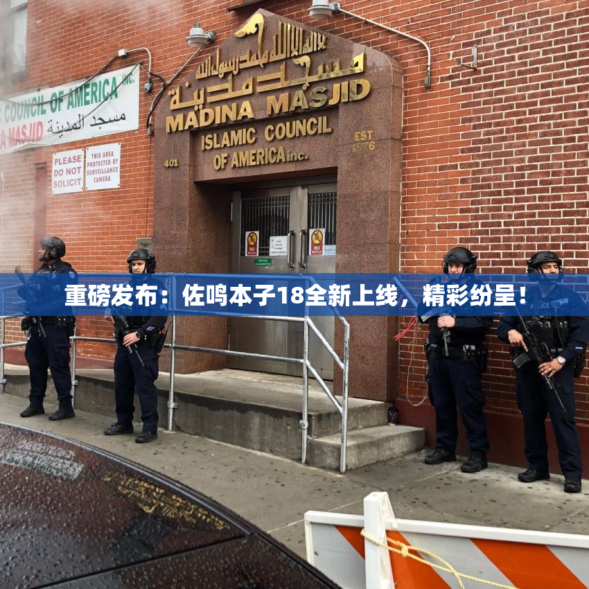 重磅发布：佐鸣本子18全新上线，精彩纷呈！