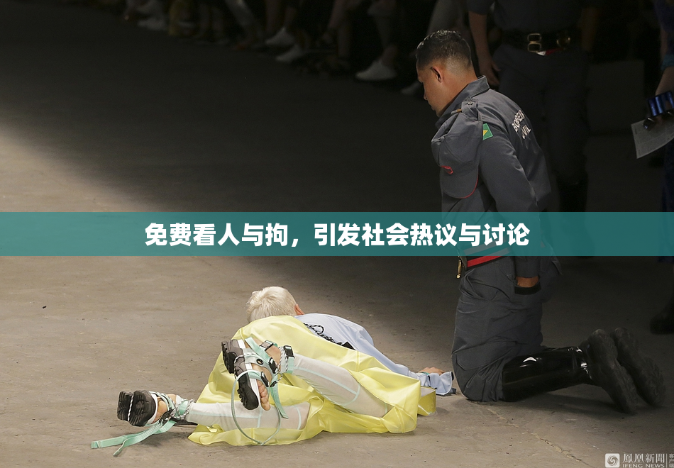 免费看人与拘，引发社会热议与讨论