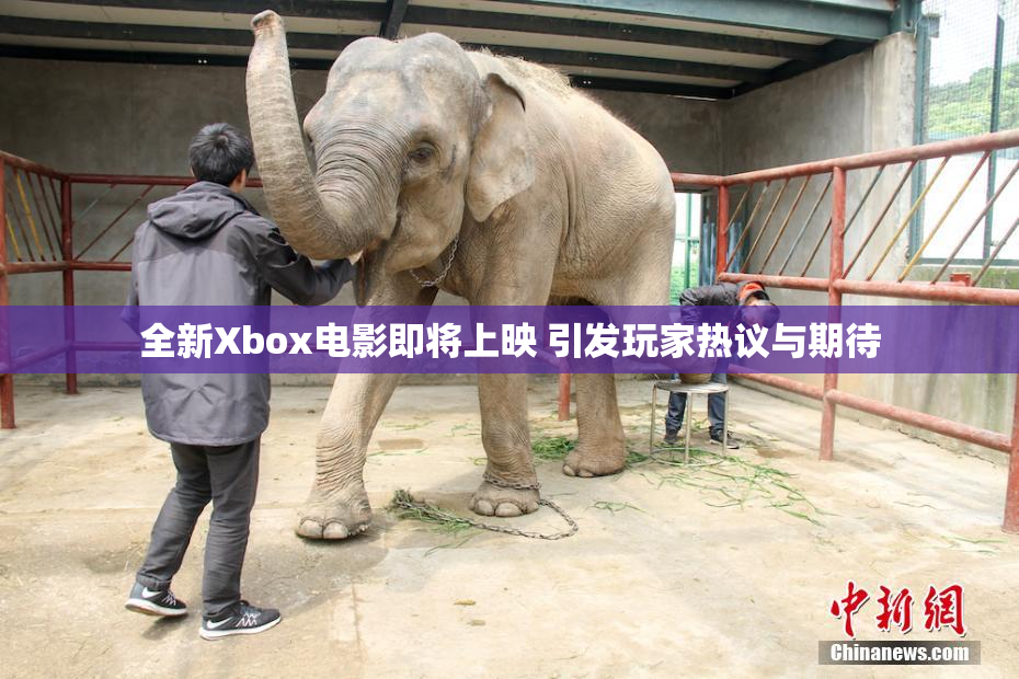 全新Xbox电影即将上映 引发玩家热议与期待