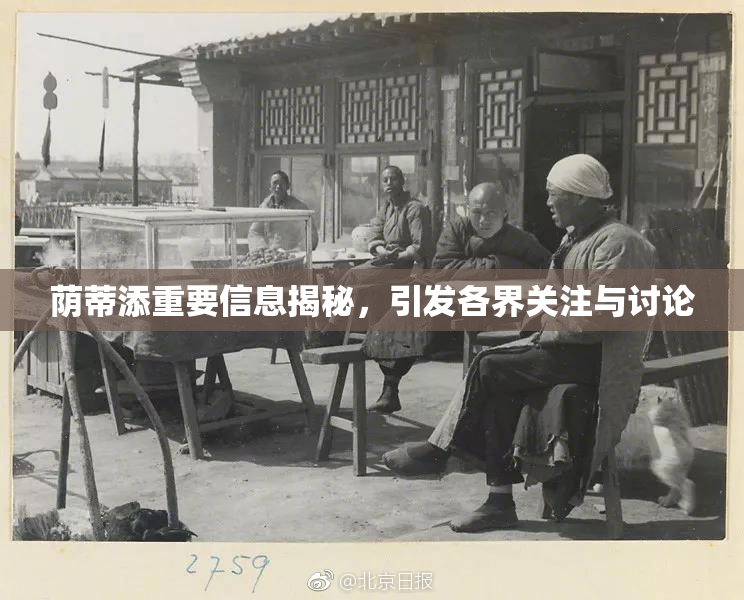荫蒂添重要信息揭秘，引发各界关注与讨论