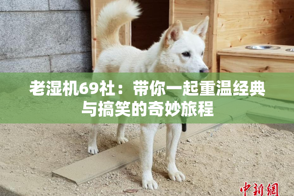 老湿机69社：带你一起重温经典与搞笑的奇妙旅程
