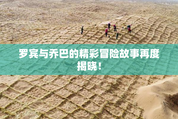 罗宾与乔巴的精彩冒险故事再度揭晓！