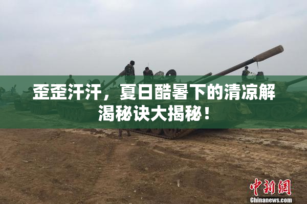 歪歪汗汗，夏日酷暑下的清凉解渴秘诀大揭秘！