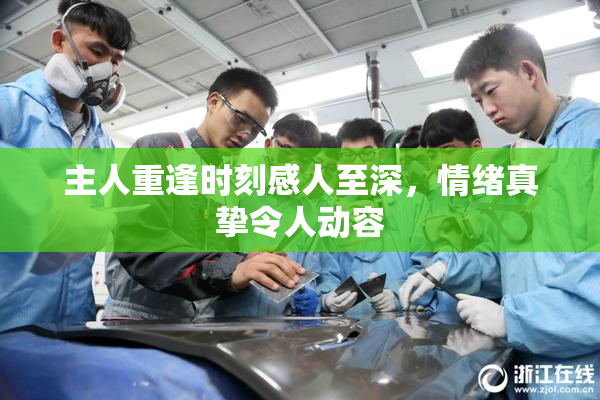 主人重逢时刻感人至深，情绪真挚令人动容