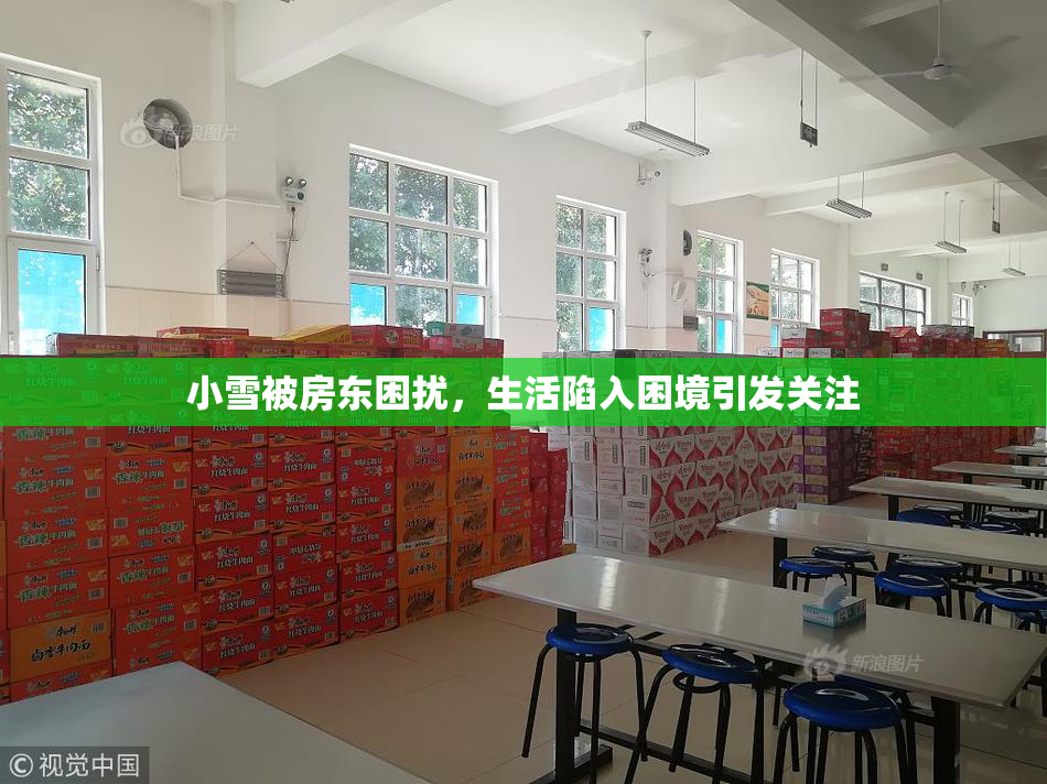 小雪被房东困扰，生活陷入困境引发关注