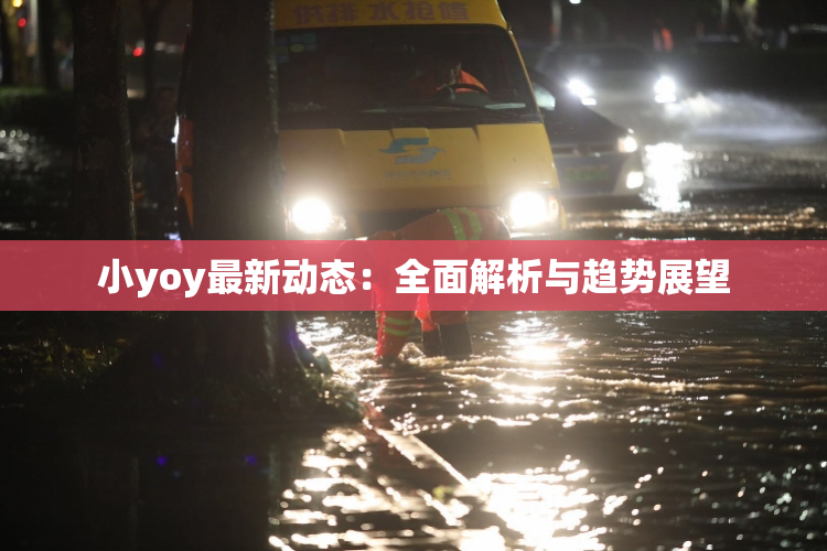小yoy最新动态：全面解析与趋势展望
