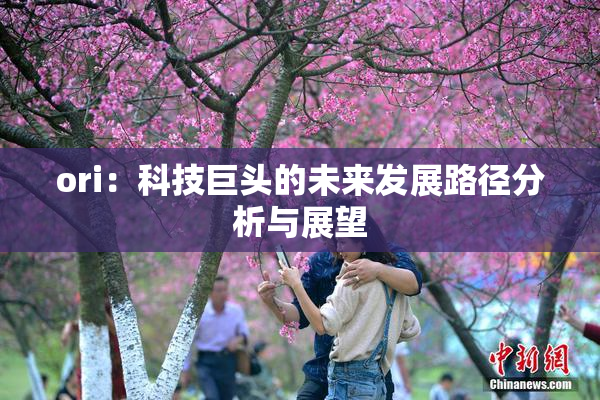 ori：科技巨头的未来发展路径分析与展望