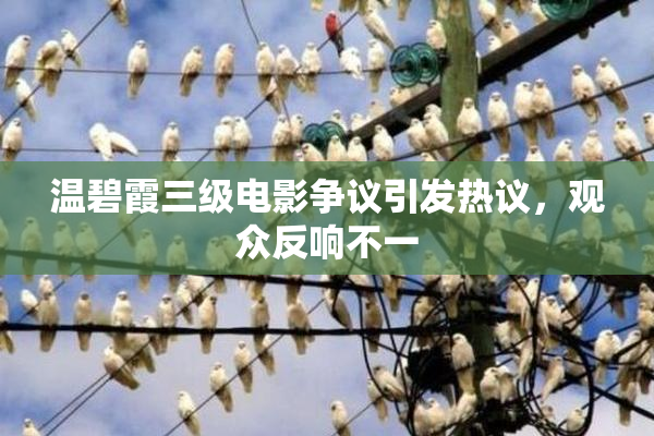 温碧霞三级电影争议引发热议，观众反响不一