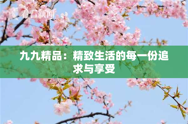 九九精品：精致生活的每一份追求与享受