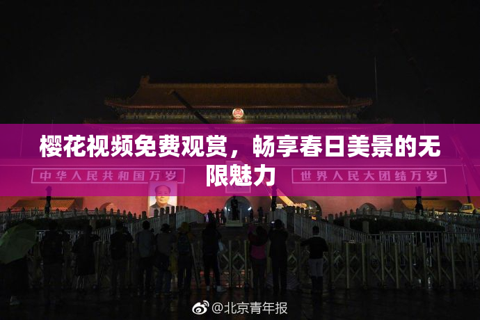 樱花视频免费观赏，畅享春日美景的无限魅力
