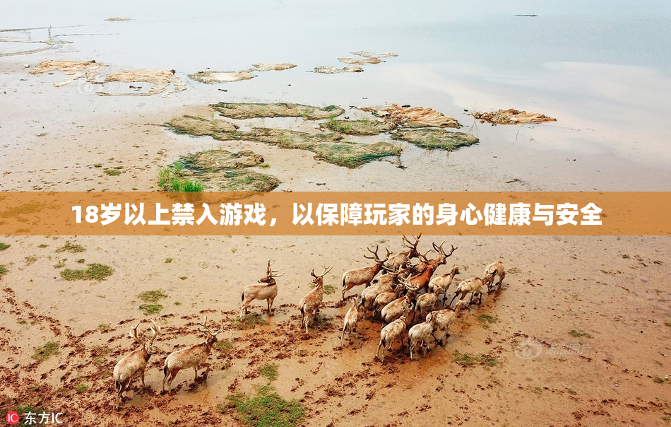 18岁以上禁入游戏，以保障玩家的身心健康与安全