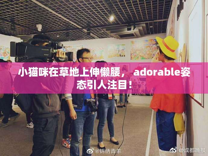 小猫咪在草地上伸懒腰， adorable姿态引人注目！