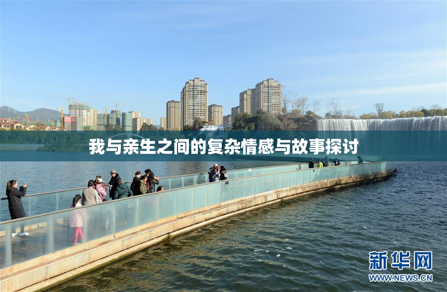 我与亲生之间的复杂情感与故事探讨